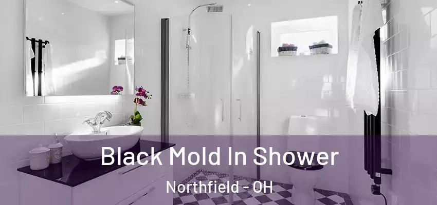  Black Mold In Shower Northfield - OH