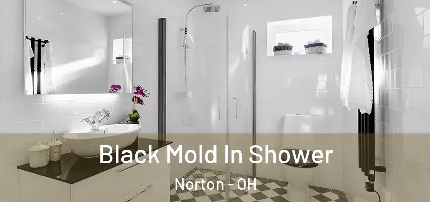  Black Mold In Shower Norton - OH
