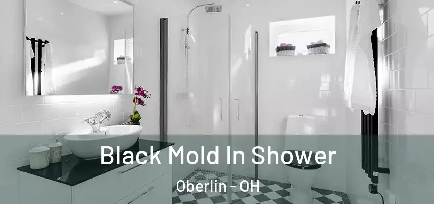  Black Mold In Shower Oberlin - OH