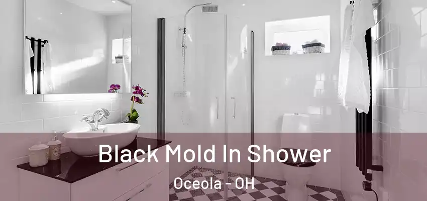  Black Mold In Shower Oceola - OH