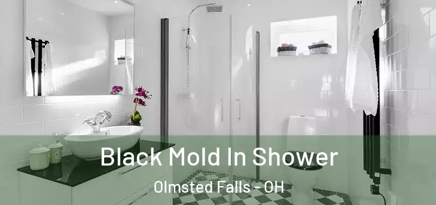  Black Mold In Shower Olmsted Falls - OH