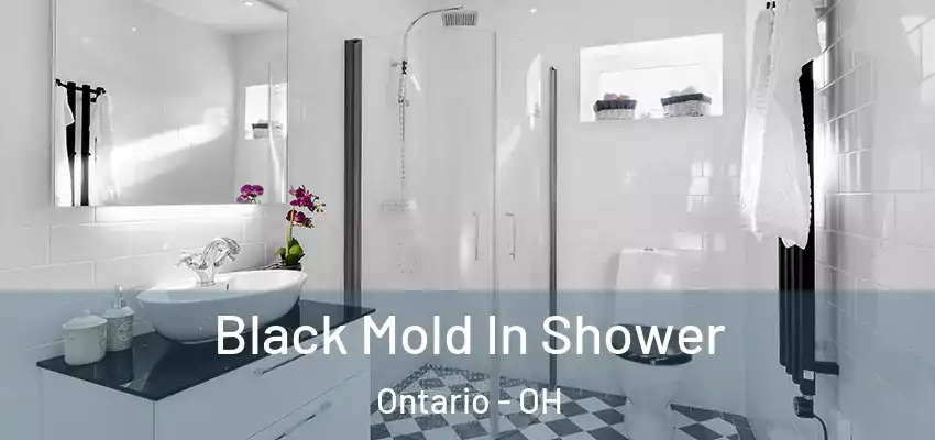  Black Mold In Shower Ontario - OH