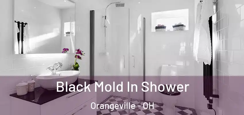  Black Mold In Shower Orangeville - OH