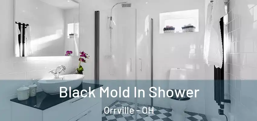 Black Mold In Shower Orrville - OH