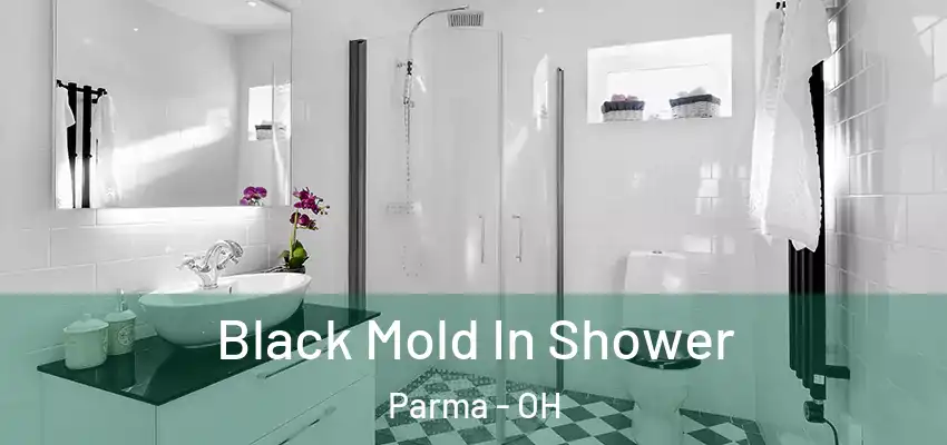  Black Mold In Shower Parma - OH