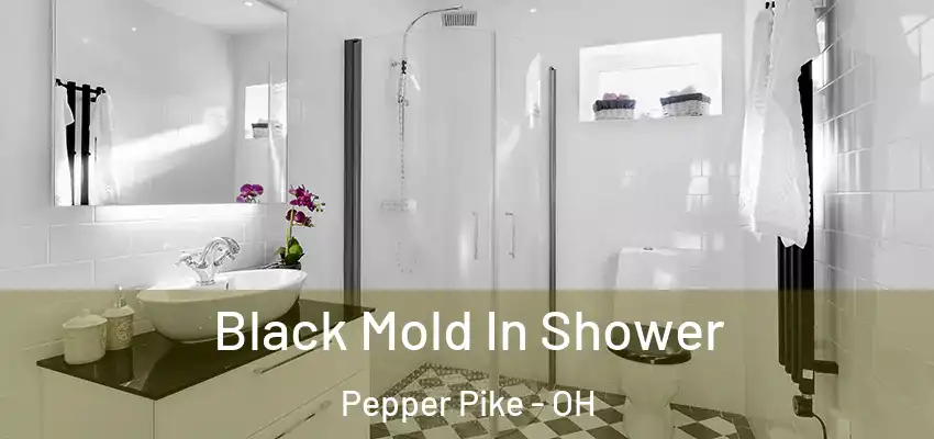 Black Mold In Shower Pepper Pike - OH