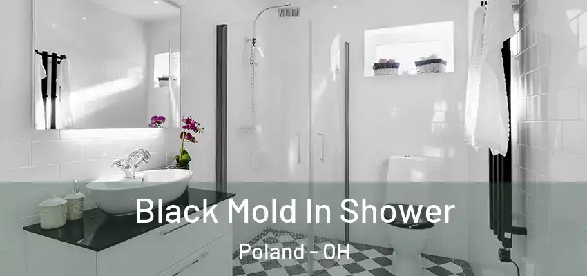  Black Mold In Shower Poland - OH