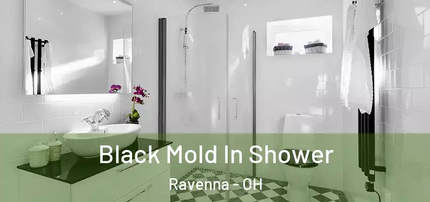 Black Mold In Shower Ravenna - OH