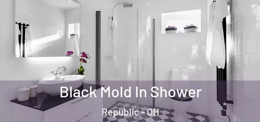  Black Mold In Shower Republic - OH