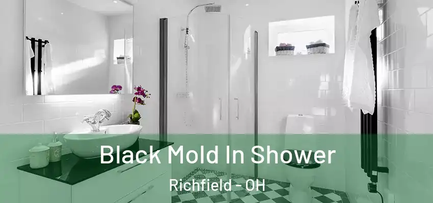  Black Mold In Shower Richfield - OH