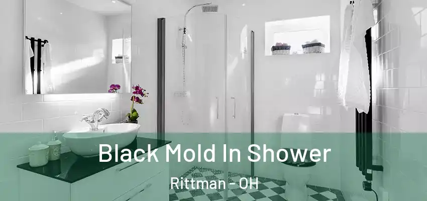  Black Mold In Shower Rittman - OH