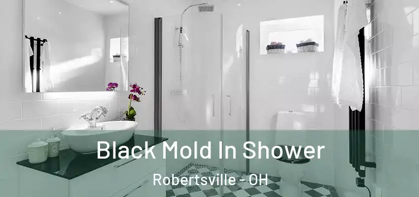  Black Mold In Shower Robertsville - OH