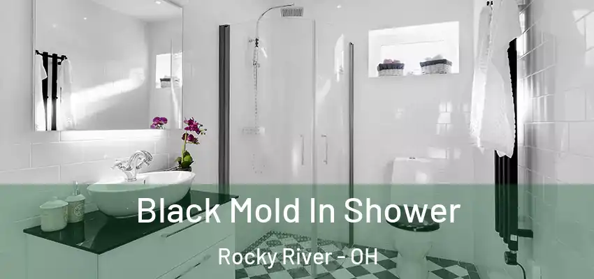 Black Mold In Shower Rocky River - OH