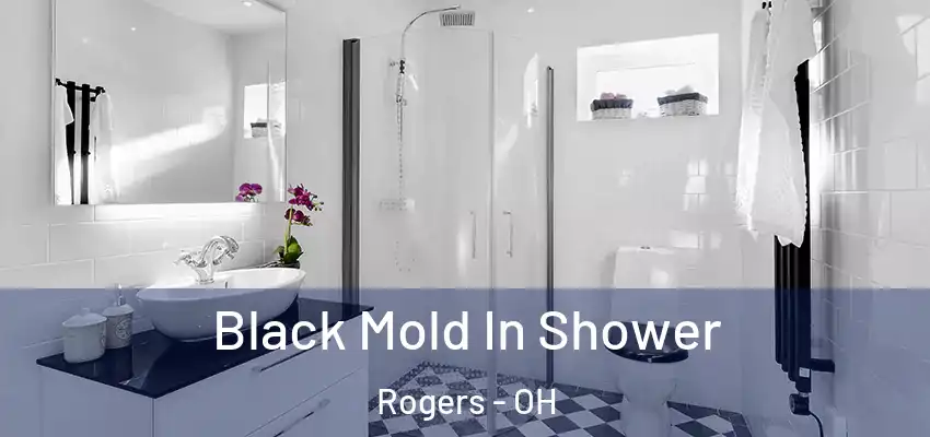  Black Mold In Shower Rogers - OH