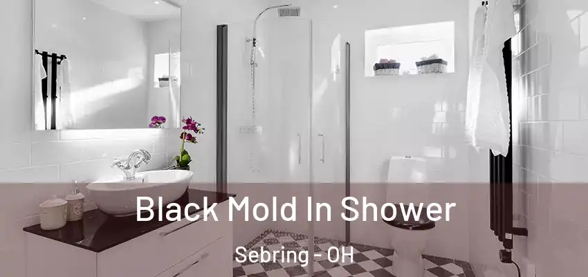  Black Mold In Shower Sebring - OH