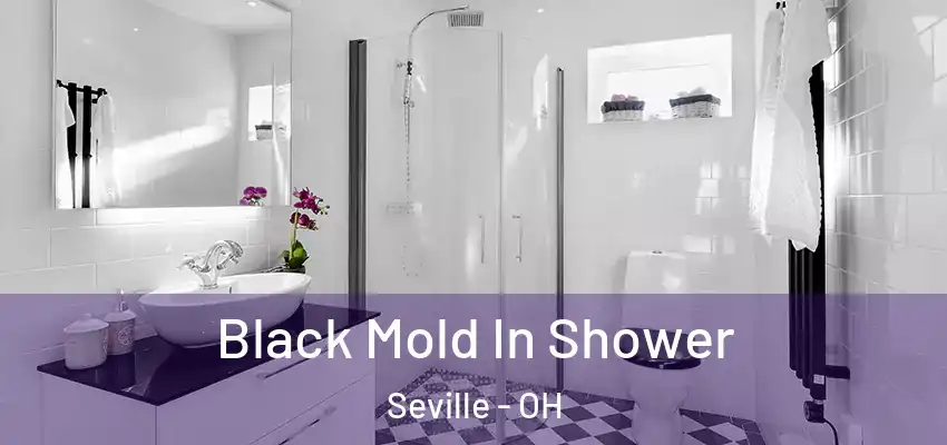  Black Mold In Shower Seville - OH