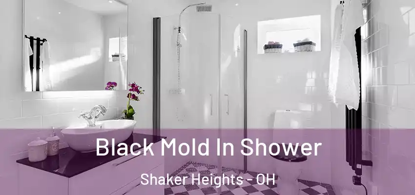 Black Mold In Shower Shaker Heights - OH