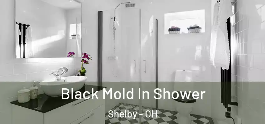 Black Mold In Shower Shelby - OH