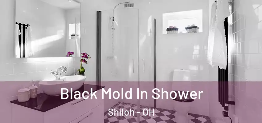  Black Mold In Shower Shiloh - OH