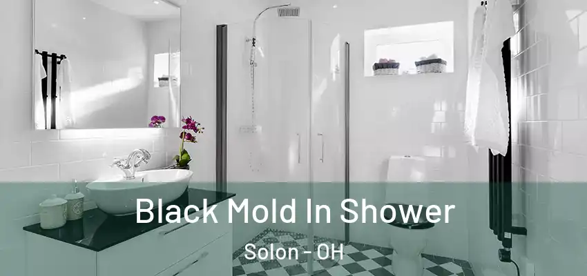  Black Mold In Shower Solon - OH