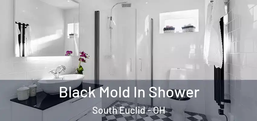  Black Mold In Shower South Euclid - OH