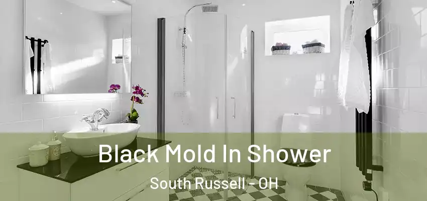  Black Mold In Shower South Russell - OH