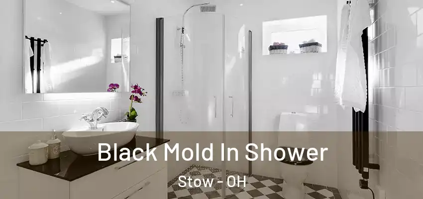  Black Mold In Shower Stow - OH