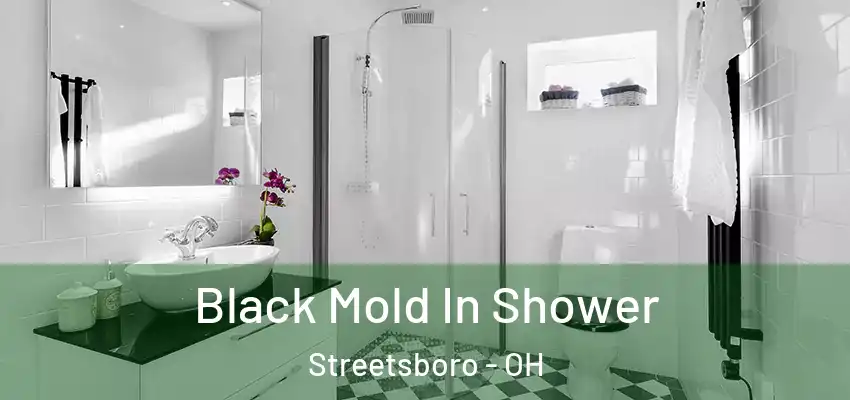 Black Mold In Shower Streetsboro - OH