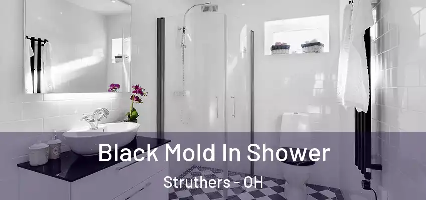 Black Mold In Shower Struthers - OH