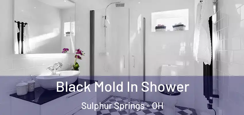  Black Mold In Shower Sulphur Springs - OH