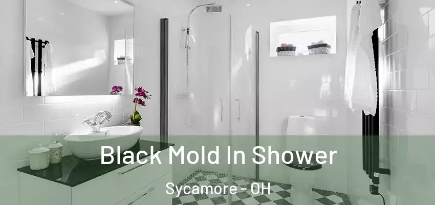  Black Mold In Shower Sycamore - OH
