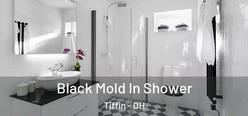 Black Mold In Shower Tiffin - OH