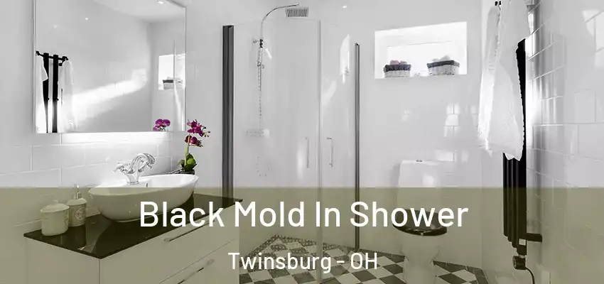  Black Mold In Shower Twinsburg - OH