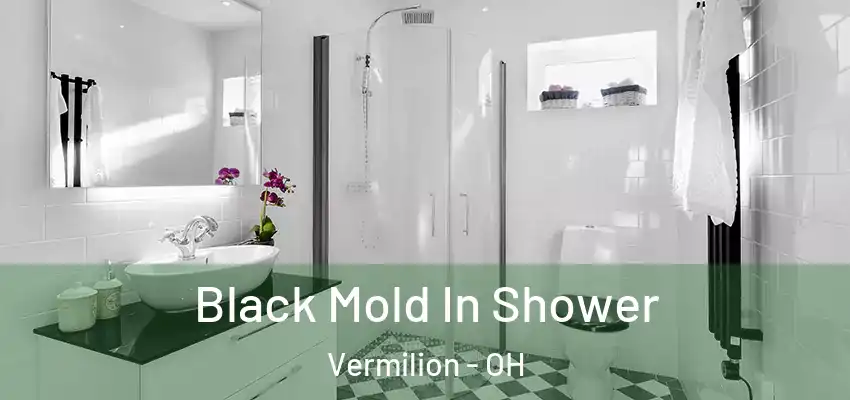 Black Mold In Shower Vermilion - OH