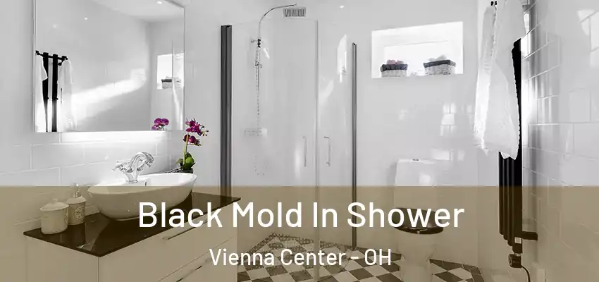  Black Mold In Shower Vienna Center - OH