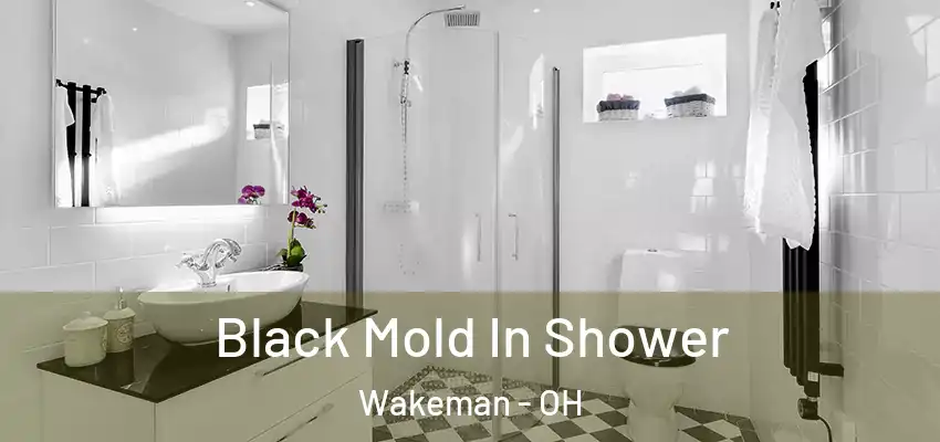  Black Mold In Shower Wakeman - OH
