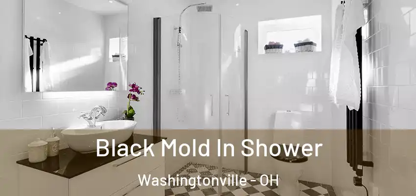 Black Mold In Shower Washingtonville - OH