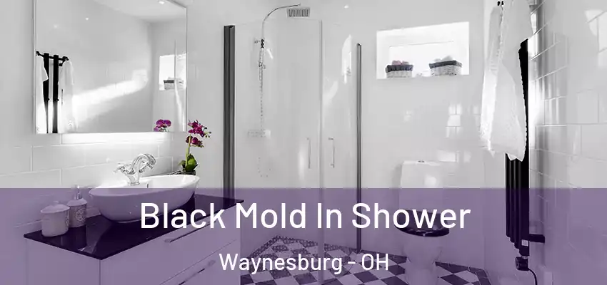  Black Mold In Shower Waynesburg - OH