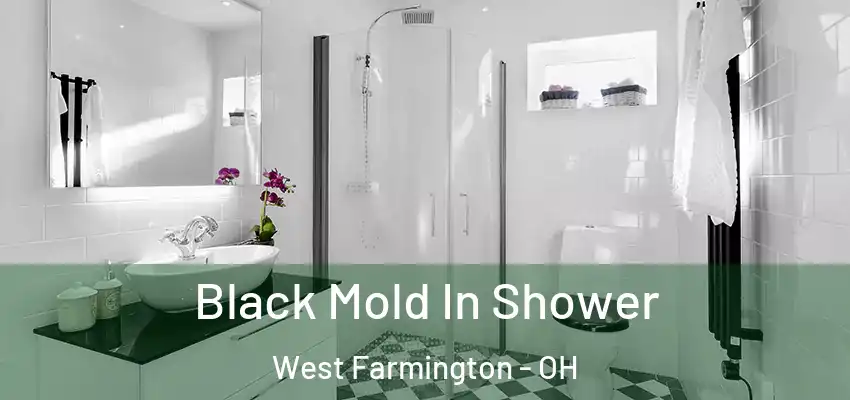  Black Mold In Shower West Farmington - OH
