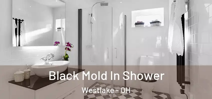 Black Mold In Shower Westlake - OH