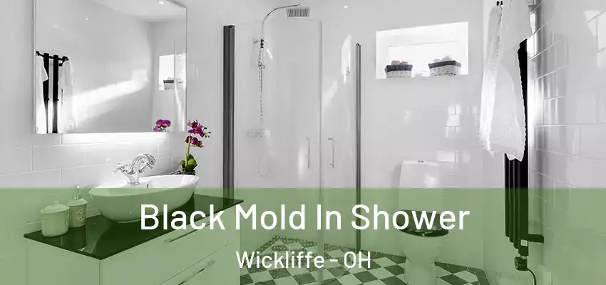 Black Mold In Shower Wickliffe - OH