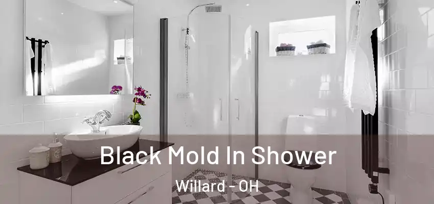 Black Mold In Shower Willard - OH
