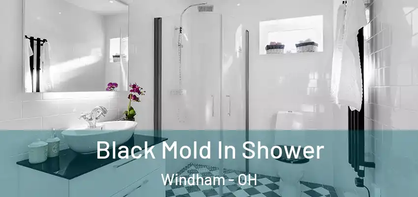 Black Mold In Shower Windham - OH