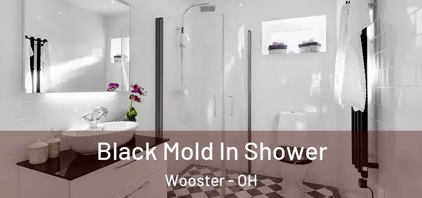Black Mold In Shower Wooster - OH
