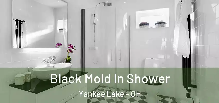  Black Mold In Shower Yankee Lake - OH