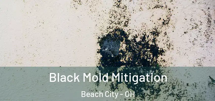  Black Mold Mitigation Beach City - OH