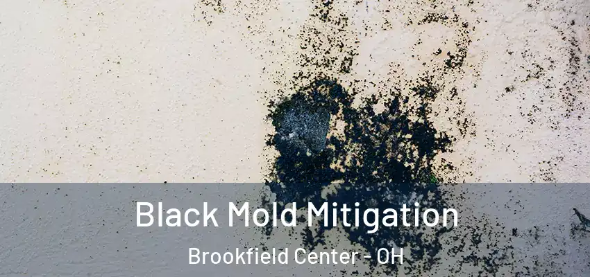  Black Mold Mitigation Brookfield Center - OH