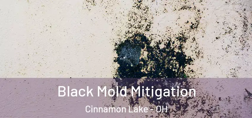  Black Mold Mitigation Cinnamon Lake - OH