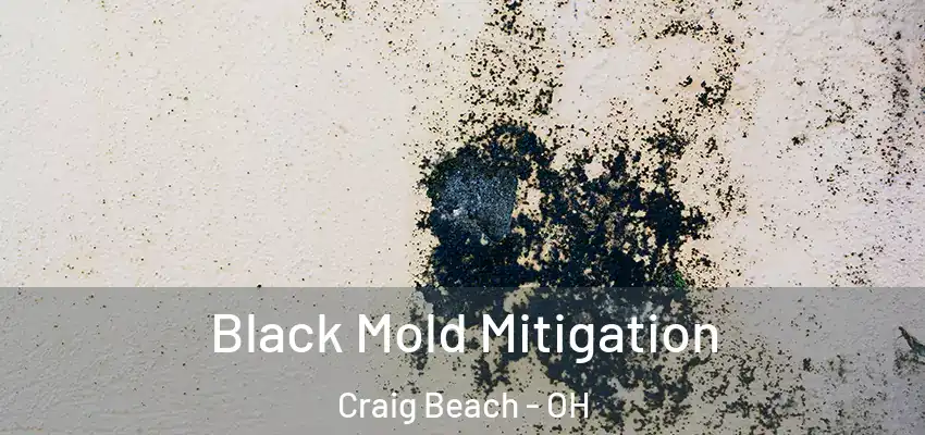  Black Mold Mitigation Craig Beach - OH