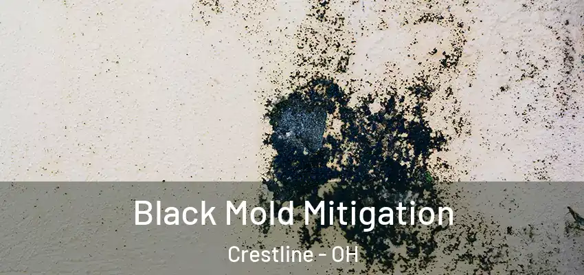  Black Mold Mitigation Crestline - OH